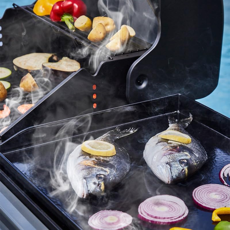 - Barbecue Bi-Energy Gun Metal XL - Barbecue Charbon et Plancha 60 x 42 cm à gaz avec brûleur latéral -12,95 KW