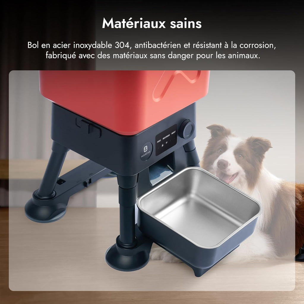 Molly&Cody Distributeur Automatique Croquette, 14L Grande Capacité Alimentateur Intelligent pour Animaux, 2,4G WiFi APP- Contrôle Dosage Personnalisable, Acier Inoxydable Idéal pour Les Grands Chiens