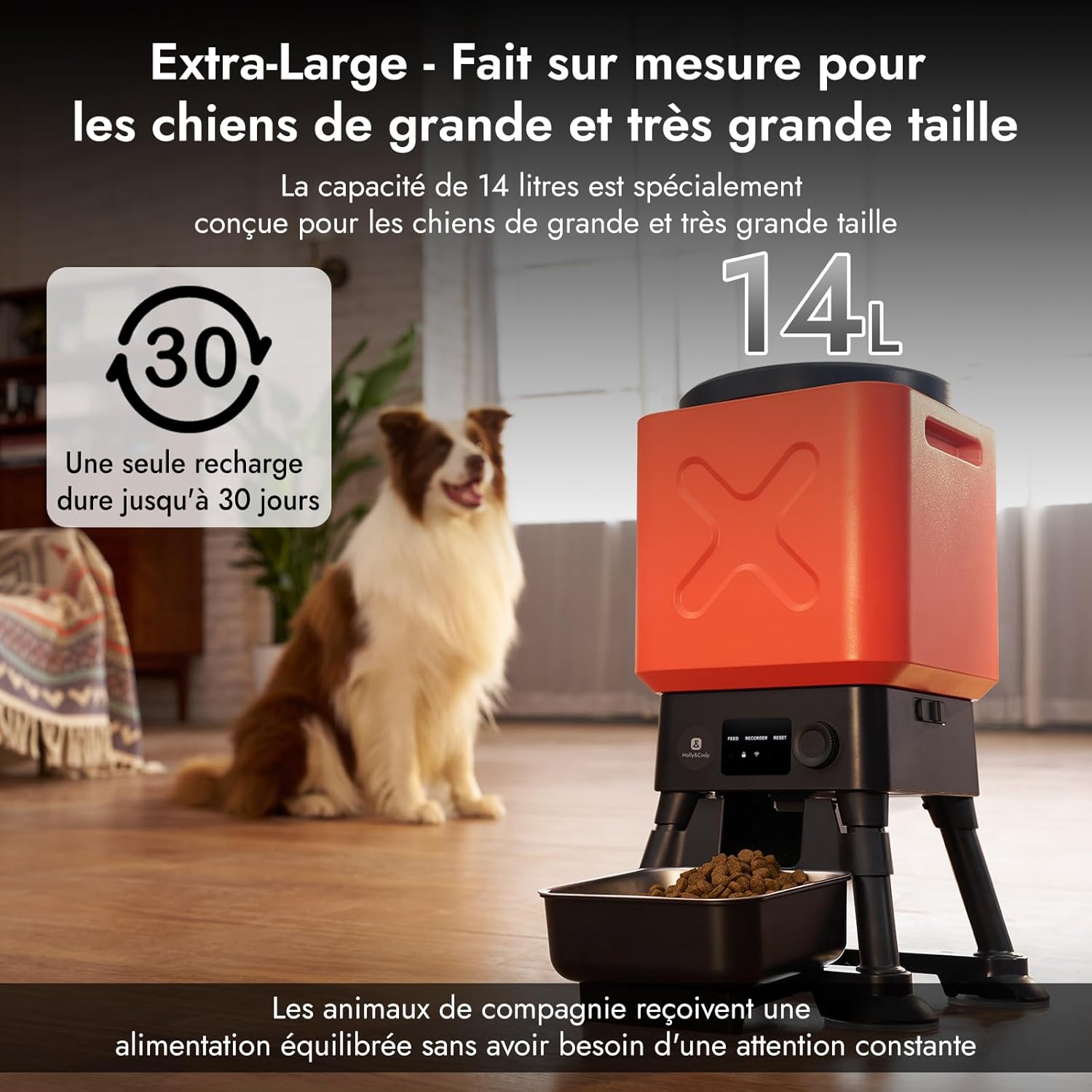 Molly&Cody Distributeur Automatique Croquette, 14L Grande Capacité Alimentateur Intelligent pour Animaux, 2,4G WiFi APP- Contrôle Dosage Personnalisable, Acier Inoxydable Idéal pour Les Grands Chiens