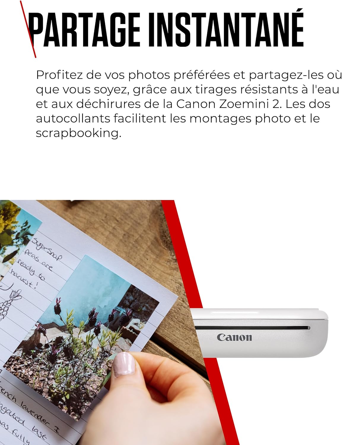Canon Zoemini 2 Imprimante Photo Portable - Mini Imprimante Portable - Mini Imprimante Photo - Compacte et sans Fil - Bluetooth 5.0 et Charge Rapide Type-C - Imprimante de Voyage, Perle Blanche