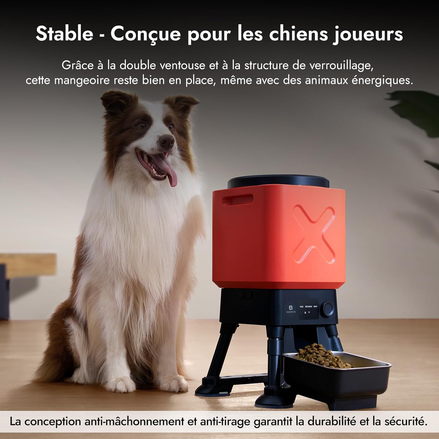 Molly&Cody Distributeur Automatique Croquette, 14L Grande Capacité Alimentateur Intelligent pour Animaux, 2,4G WiFi APP- Contrôle Dosage Personnalisable, Acier Inoxydable Idéal pour Les Grands Chiens