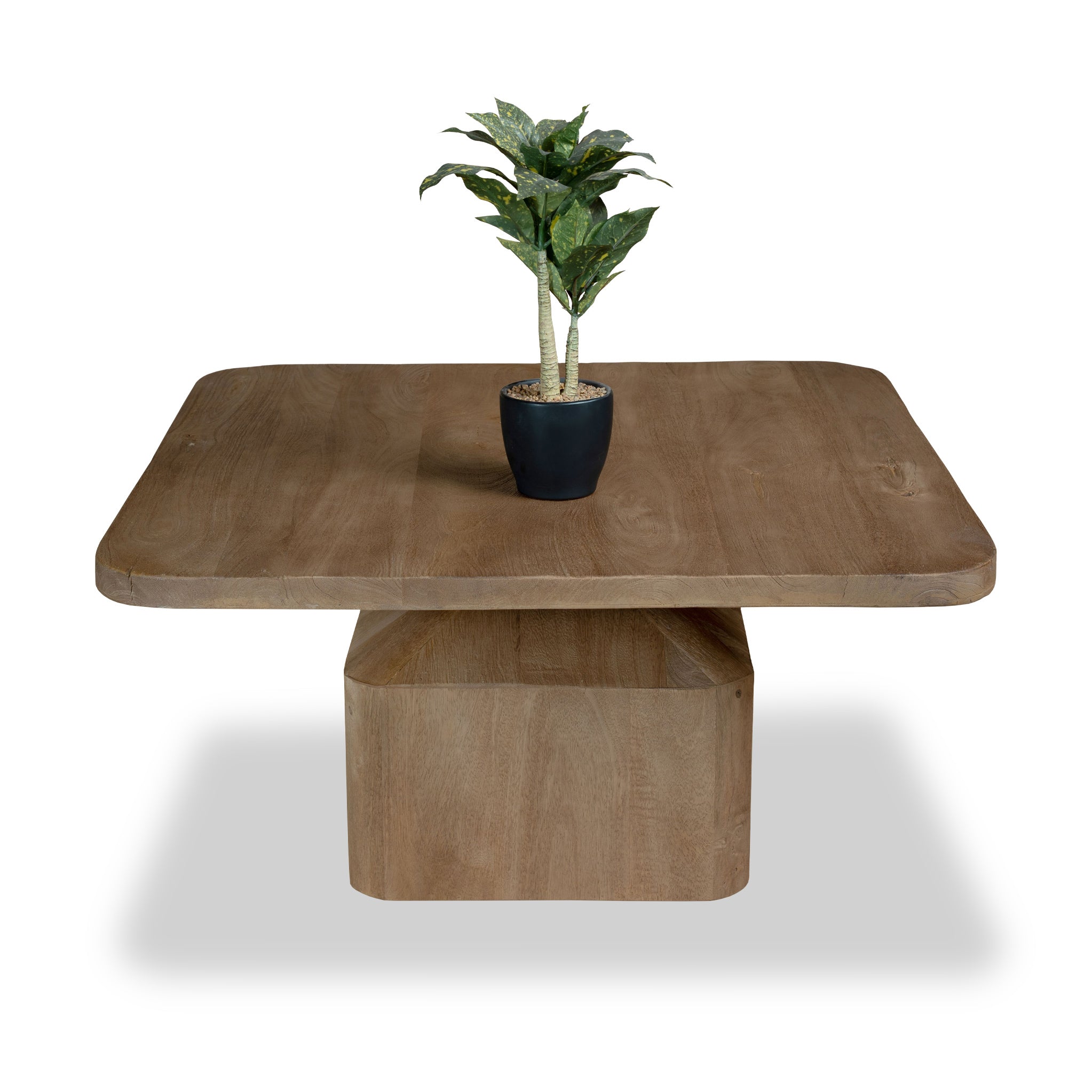 Nao Mango Wood Coffee Table