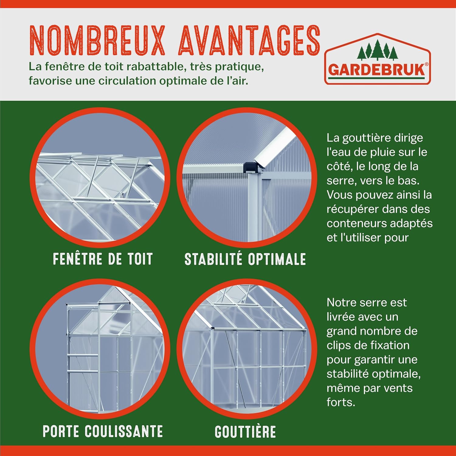 Gardebruk Serre de Jardin en Aluminium 7,63m&sup3; abri ext&eacute;rieur pour Plantes l&eacute;gumes 250x190x195cm avec fen&ecirc;tres