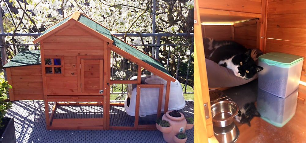 Wiltec poulailler bois sapin 172x66x120cm avec nichoir, grillage, bac galvanisé