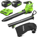 Greenworks 48V(24V x 2) Aspirateur Souffleur Sans fil de Feuilles à Batterie Bandoulière, Moteur Sans Balais, 386km/h, 14.73m³/min,Sac Mulching 45L, 2 Batteries 4Ah,Chargeur,Garantie 3 Ans BL48L421-01