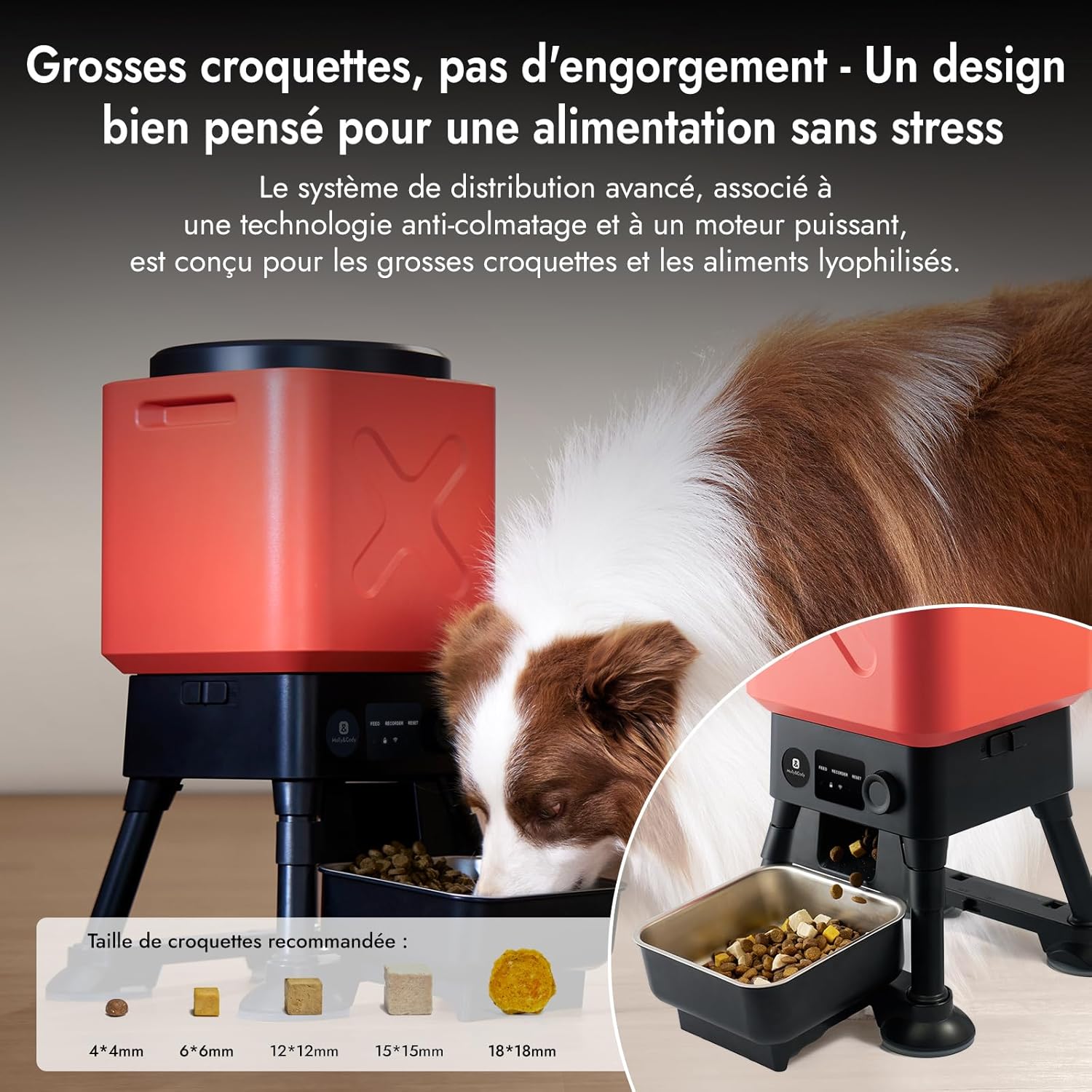 Molly&Cody Distributeur Automatique Croquette, 14L Grande Capacité Alimentateur Intelligent pour Animaux, 2,4G WiFi APP- Contrôle Dosage Personnalisable, Acier Inoxydable Idéal pour Les Grands Chiens
