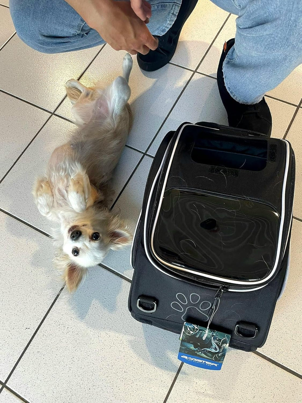 Sacoche de réservoir Bagster Puppy Small 20L Transport Animal de Compagnie Moto