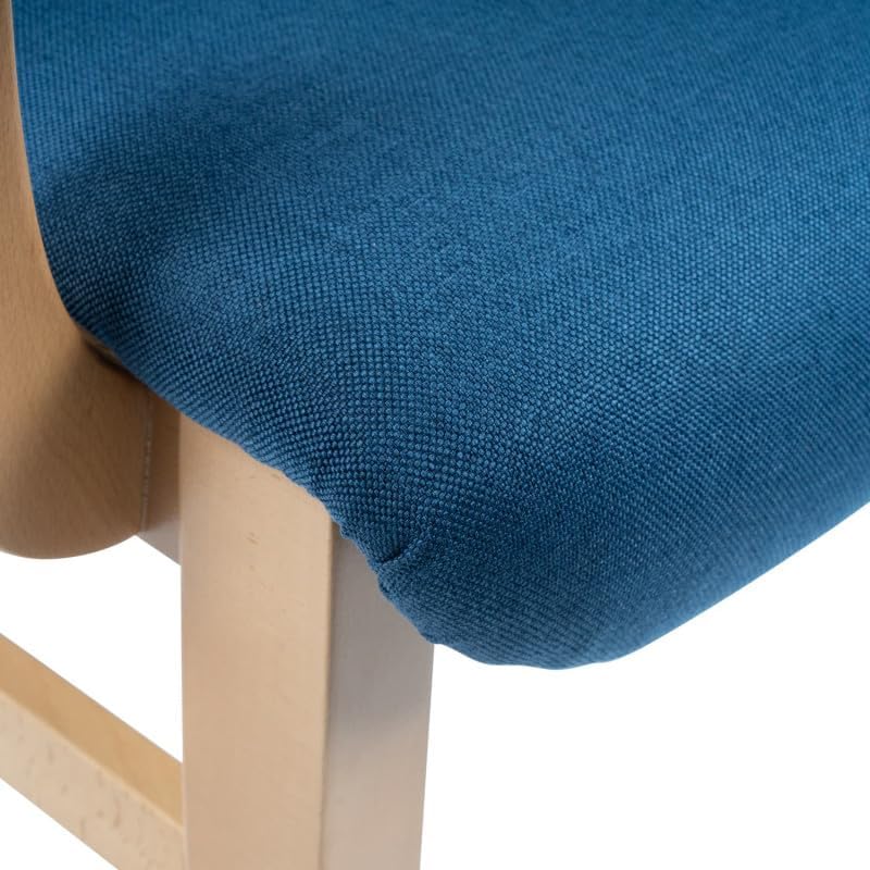 APLOS Chaise d'aide à la levée Suzanne, Bascule Automatique réglable, Chaise Ergonomique collectivité pour Seniors et Personnes à Mobilité Réduite, Tissu Design et résistant